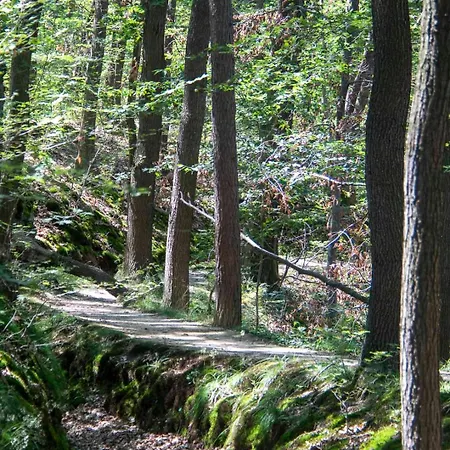 Js Feriendomizile: Hirschwechsel * Schierke